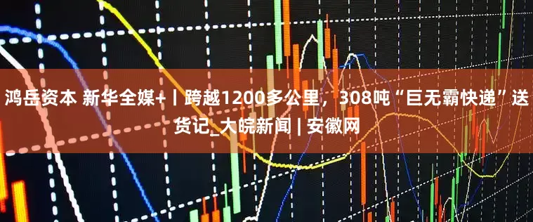 鸿岳资本 新华全媒+丨跨越1200多公里，308吨“巨无霸快递”送货记_大皖新闻 | 安徽网