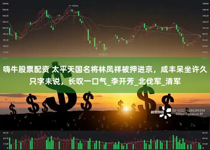 嗨牛股票配资 太平天国名将林凤祥被押进京，咸丰呆坐许久只字未说，长叹一口气_李开芳_北伐军_清军
