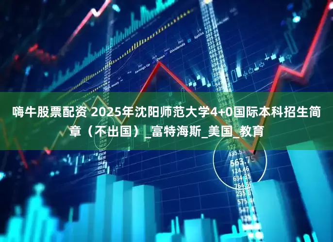 嗨牛股票配资 2025年沈阳师范大学4+0国际本科招生简章（不出国）_富特海斯_美国_教育