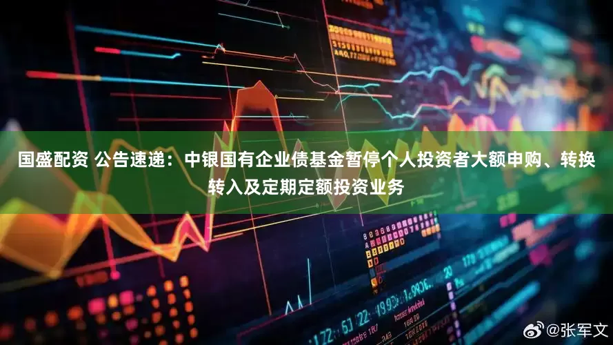 国盛配资 公告速递：中银国有企业债基金暂停个人投资者大额申购、转换转入及定期定额投资业务