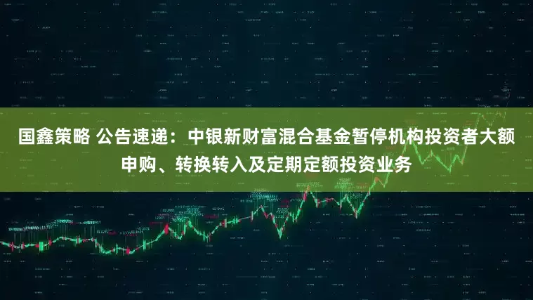 国鑫策略 公告速递：中银新财富混合基金暂停机构投资者大额申购、转换转入及定期定额投资业务