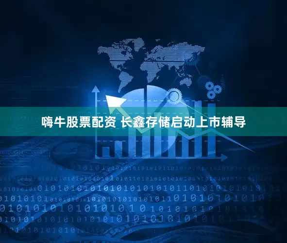嗨牛股票配资 长鑫存储启动上市辅导