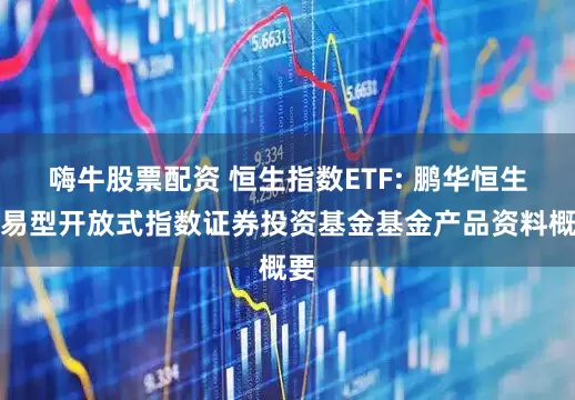 嗨牛股票配资 恒生指数ETF: 鹏华恒生交易型开放式指数证券投资基金基金产品资料概要