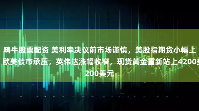 嗨牛股票配资 美利率决议前市场谨慎，美股指期货小幅上涨，欧美债市承压，英伟达涨幅收窄，现货黄金重新站上4200美元