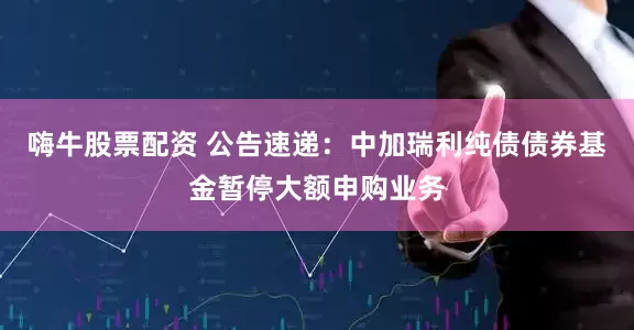 嗨牛股票配资 公告速递：中加瑞利纯债债券基金暂停大额申购业务